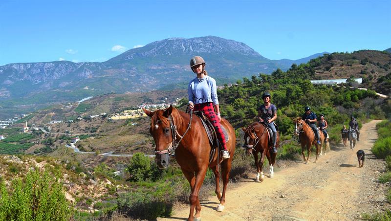 Fethiye-At-Turu